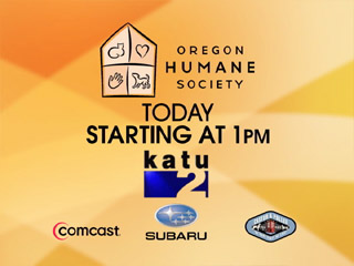 Humane Society Telethon 4